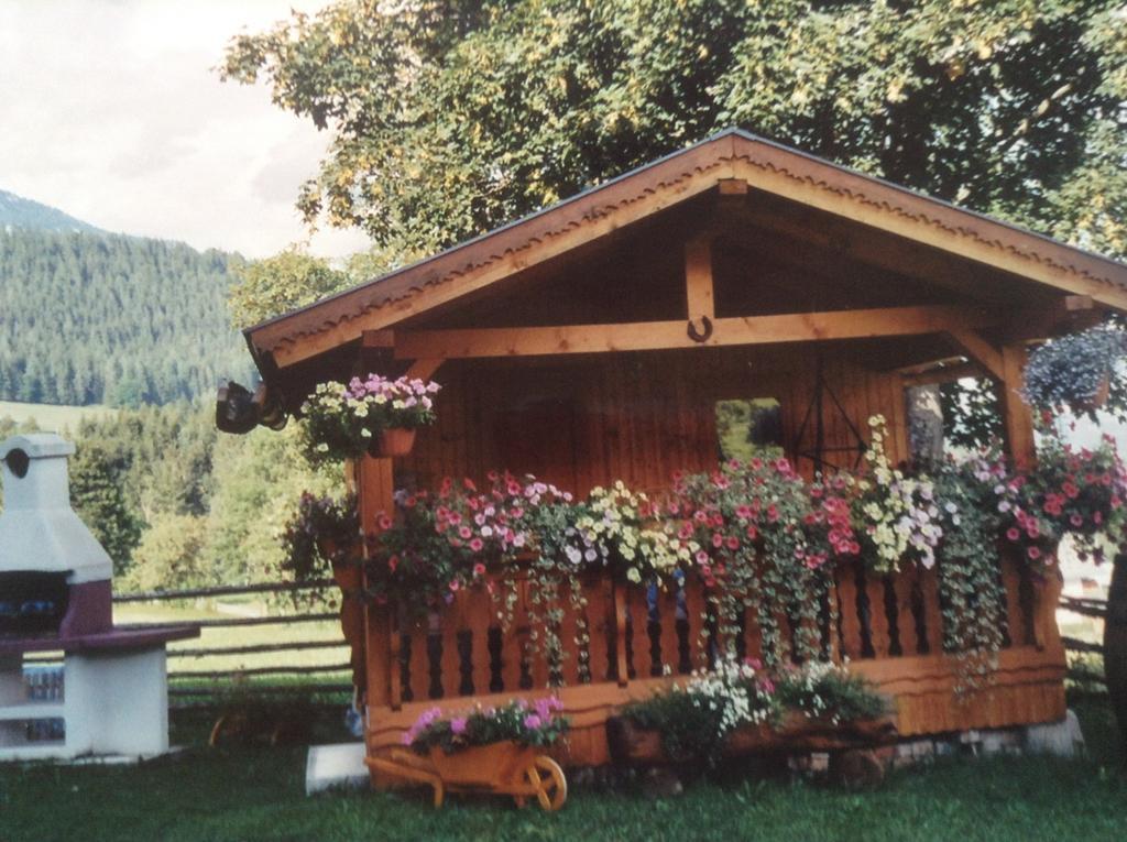 Haus Elsa Daire Ramsau am Dachstein Dış mekan fotoğraf
