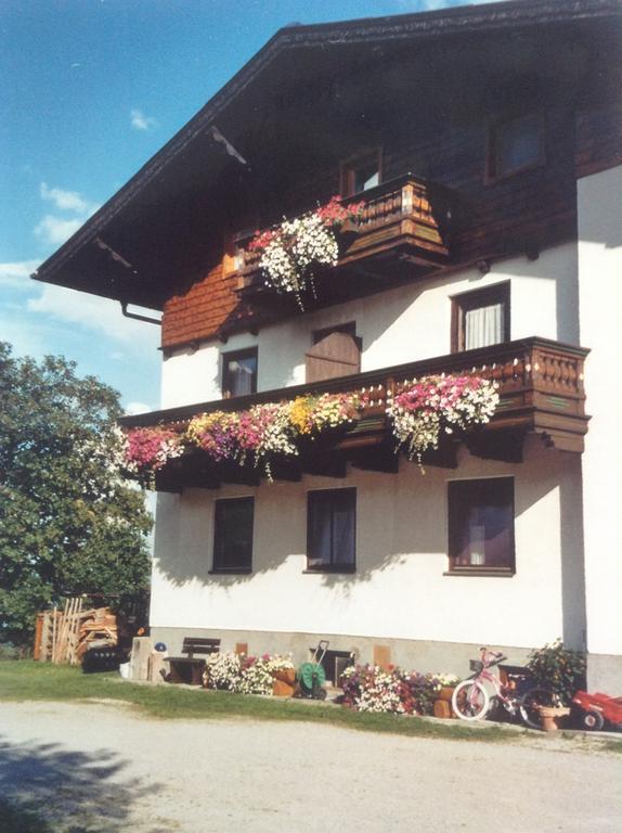 Haus Elsa Daire Ramsau am Dachstein Dış mekan fotoğraf