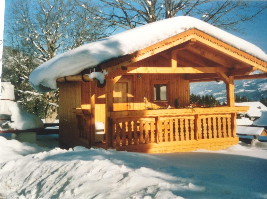 Haus Elsa Daire Ramsau am Dachstein Dış mekan fotoğraf