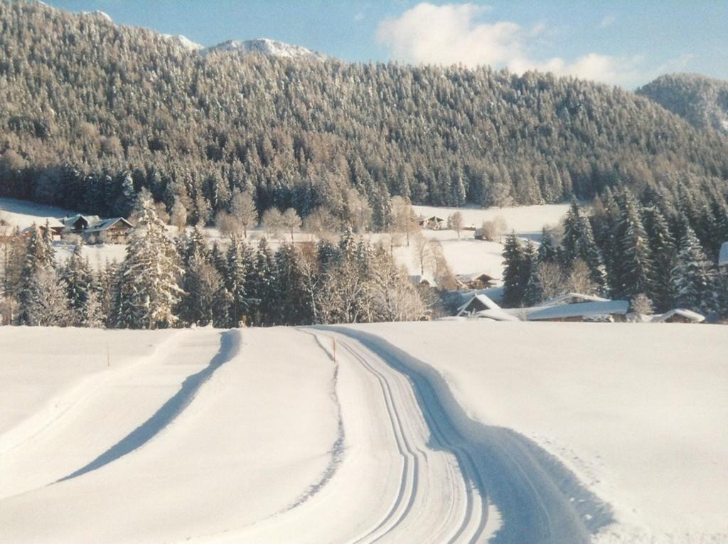 Haus Elsa Daire Ramsau am Dachstein Dış mekan fotoğraf