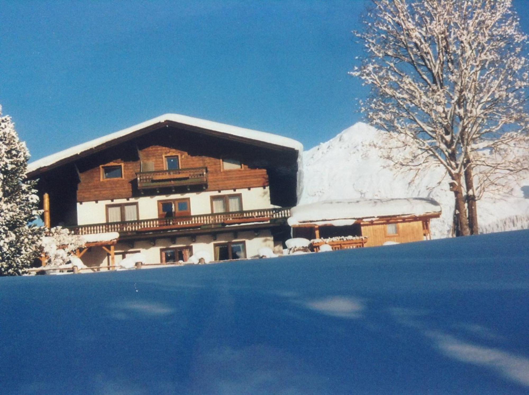 Haus Elsa Daire Ramsau am Dachstein Dış mekan fotoğraf