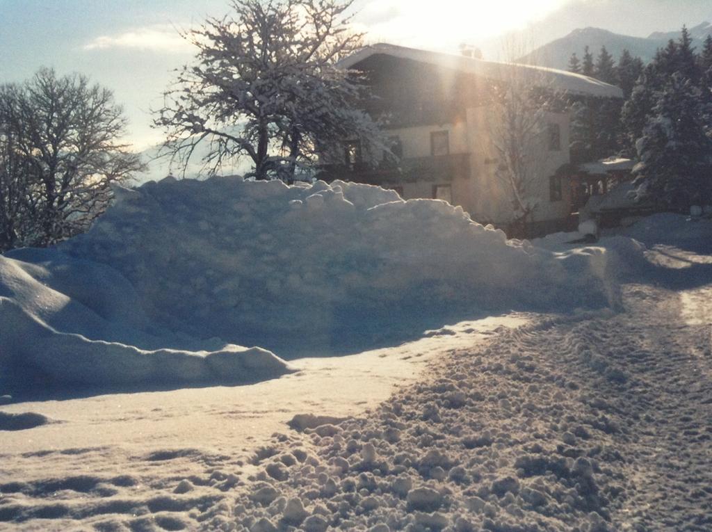 Haus Elsa Daire Ramsau am Dachstein Dış mekan fotoğraf